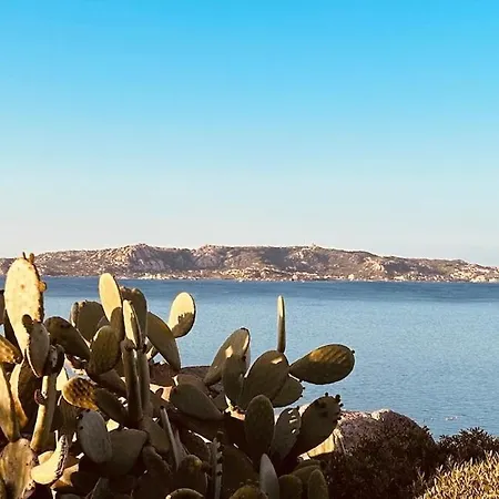 Spectacular View Of The Maddalena Islands ポルト・ラファエル
